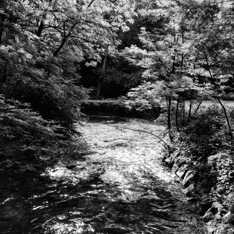 image15